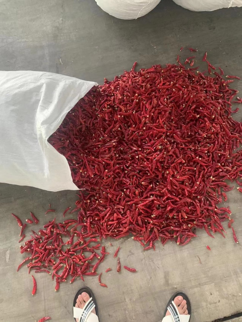 精品高辣