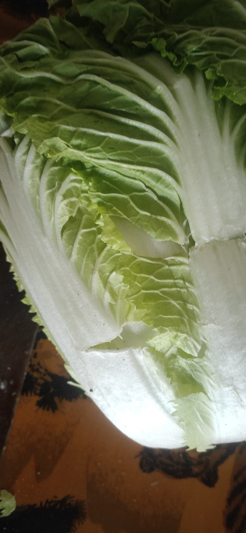 精品黄心大白菜，产地直供，量大从优，支持整车欢迎订购