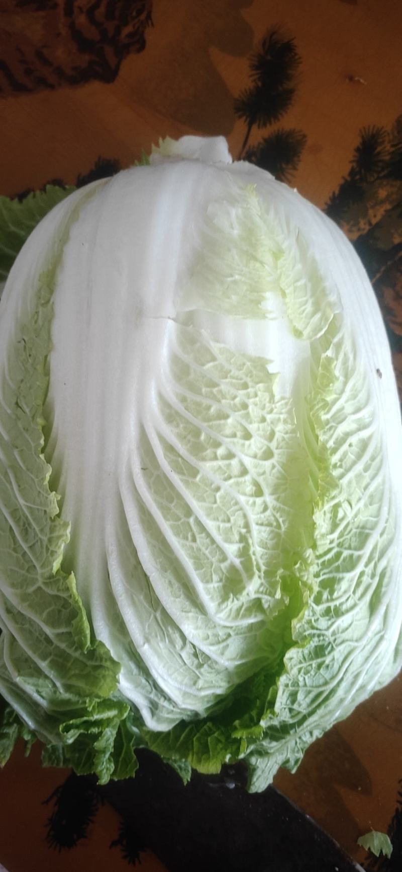 精品黄心大白菜，产地直供，量大从优，支持整车欢迎订购