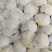 陕西省三原县精品有机散花白面青梗散花菜上市，松花菜