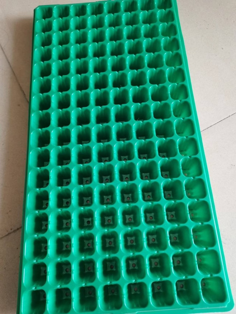 72孔/98孔/105孔/128孔育苗穴盘，