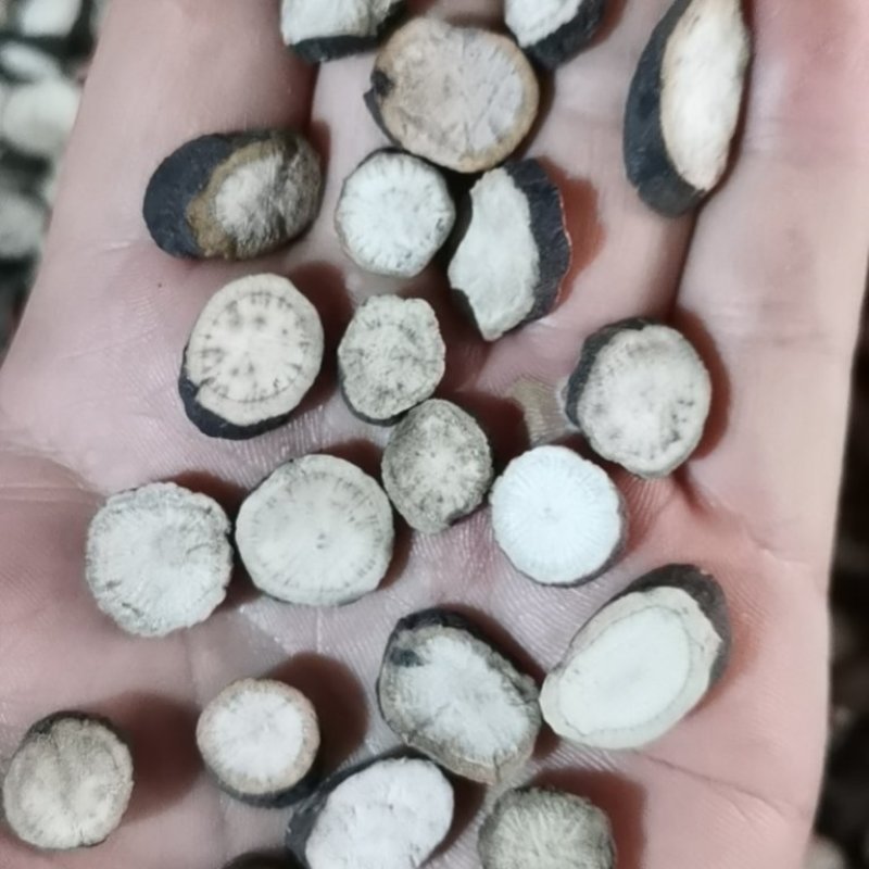 赤芍家种赤芍一手货源