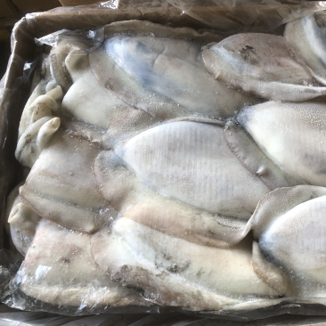 墨鱼大墨鱼也门不泡水墨鱼船冻墨鱼厚肉大墨鱼