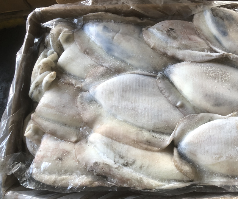 墨鱼大墨鱼也门不泡水墨鱼船冻墨鱼厚肉大墨鱼