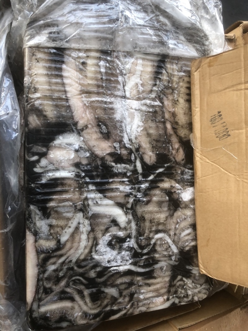 墨鱼大墨鱼也门不泡水墨鱼船冻墨鱼厚肉大墨鱼