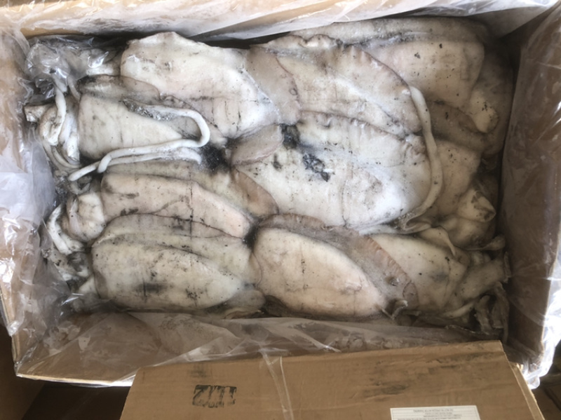 墨鱼大墨鱼也门不泡水墨鱼船冻墨鱼厚肉大墨鱼