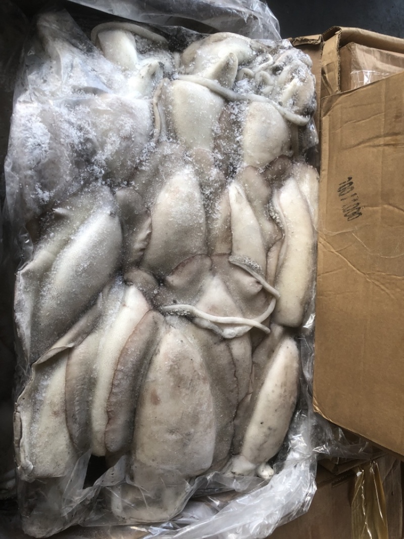 墨鱼大墨鱼也门不泡水墨鱼船冻墨鱼厚肉大墨鱼