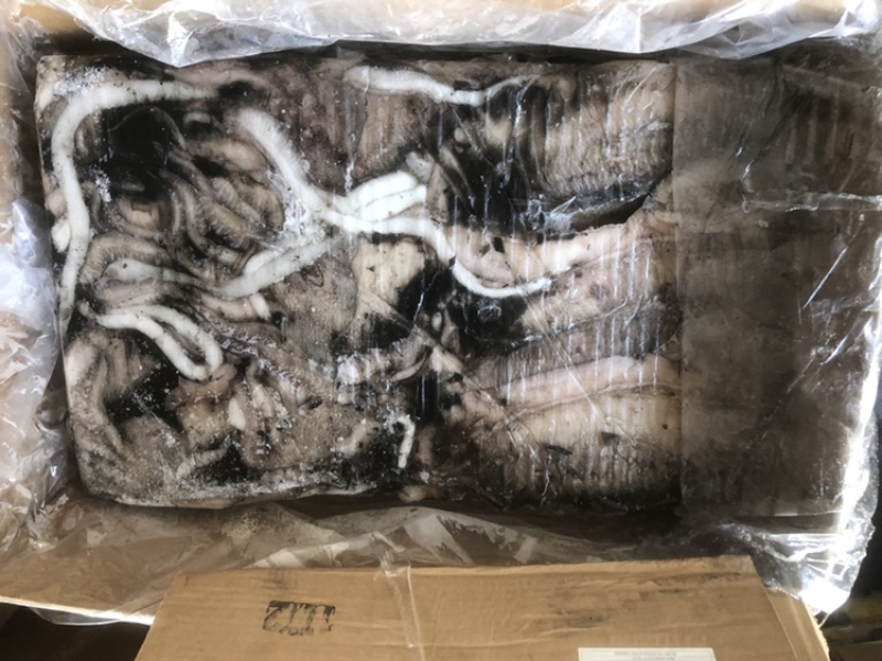 墨鱼大墨鱼也门不泡水墨鱼船冻墨鱼厚肉大墨鱼