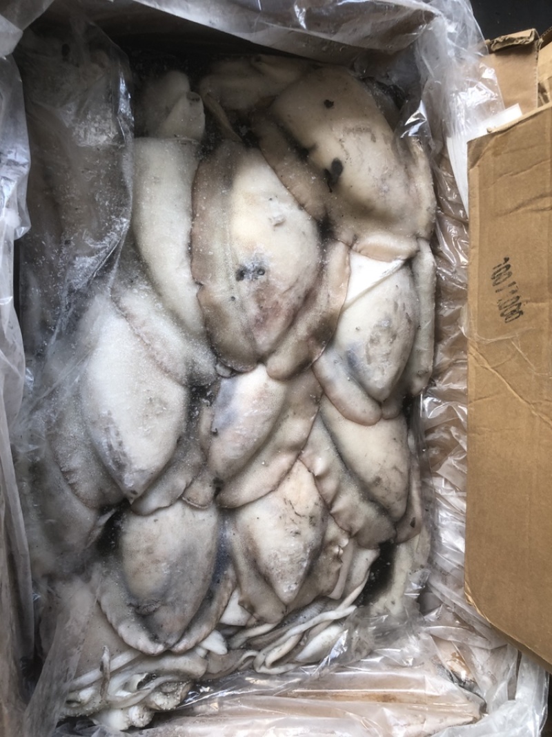 墨鱼大墨鱼也门不泡水墨鱼船冻墨鱼厚肉大墨鱼