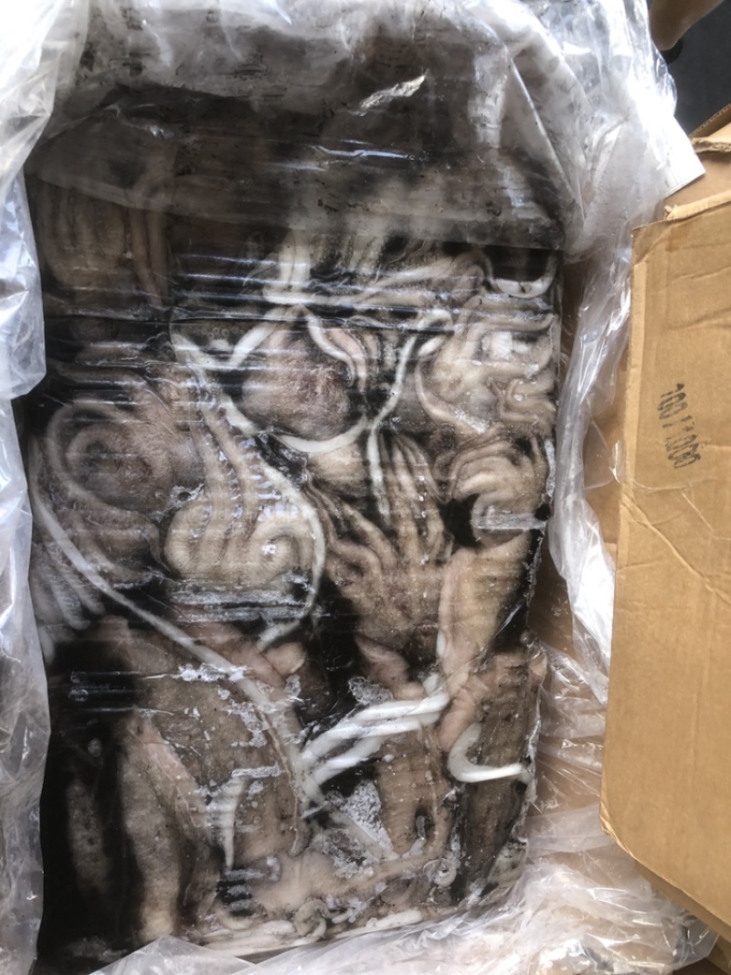 墨鱼大墨鱼也门不泡水墨鱼船冻墨鱼厚肉大墨鱼