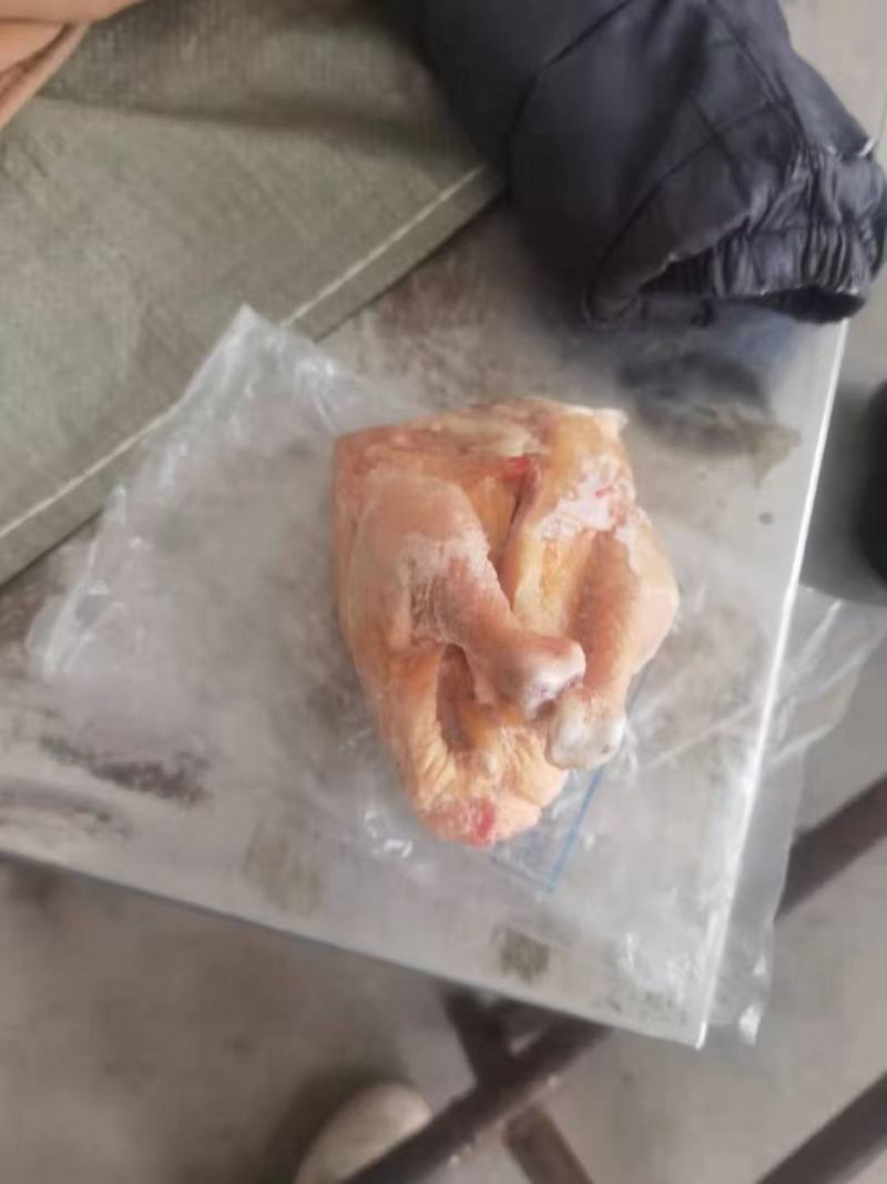 28只西装鸡，超低价出售