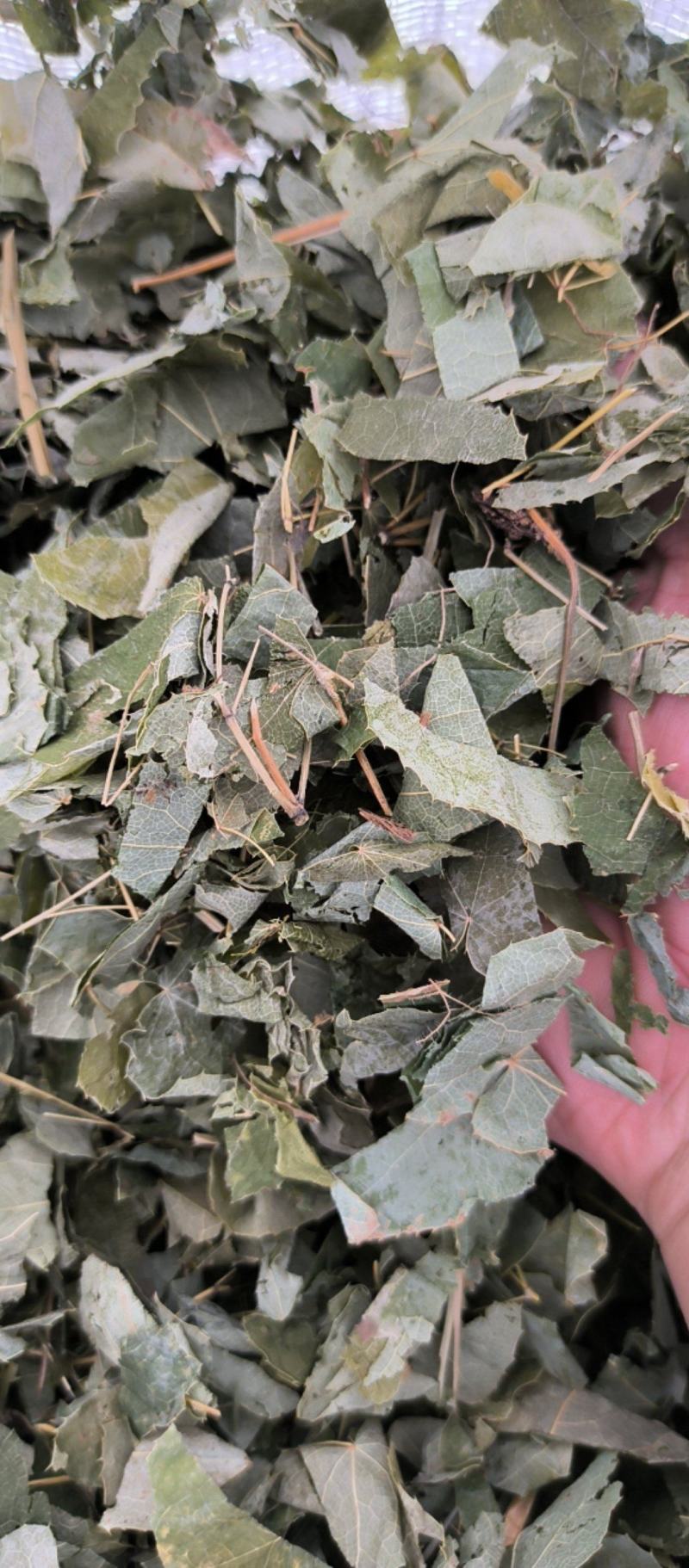 淫羊藿中药材批发淫羊藿质量保证量大从优