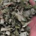 淫羊藿中药材批发淫羊藿质量保证量大从优