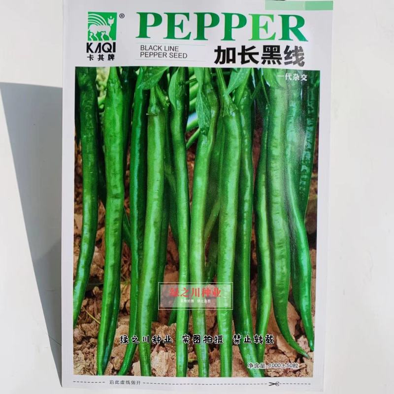 卡其加长黑线线椒种子不易死苗节节有果，辣度强加工型辣椒