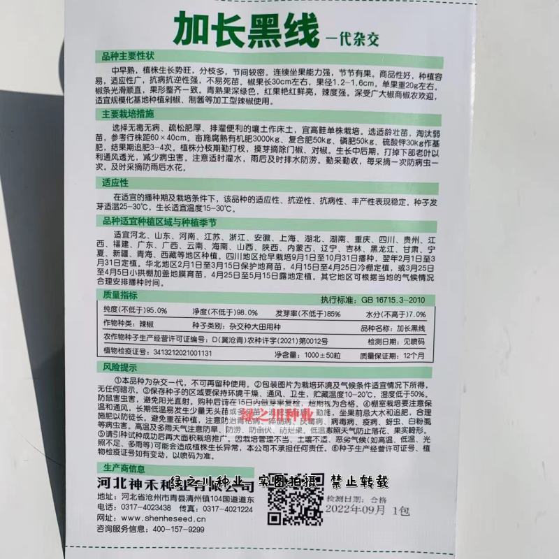 卡其加长黑线线椒种子不易死苗节节有果，辣度强加工型辣椒