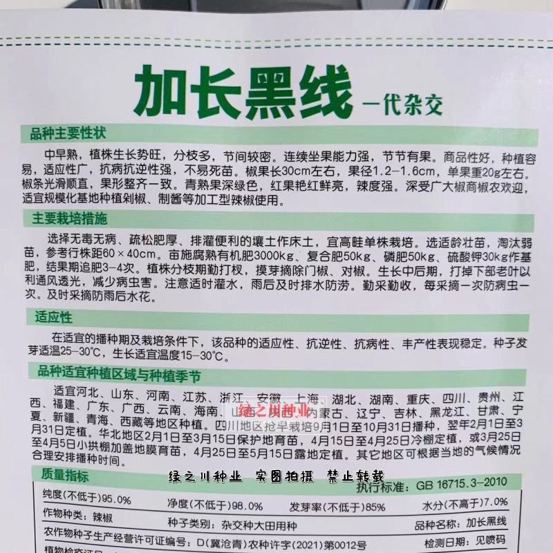 卡其加长黑线线椒种子不易死苗节节有果，辣度强加工型辣椒