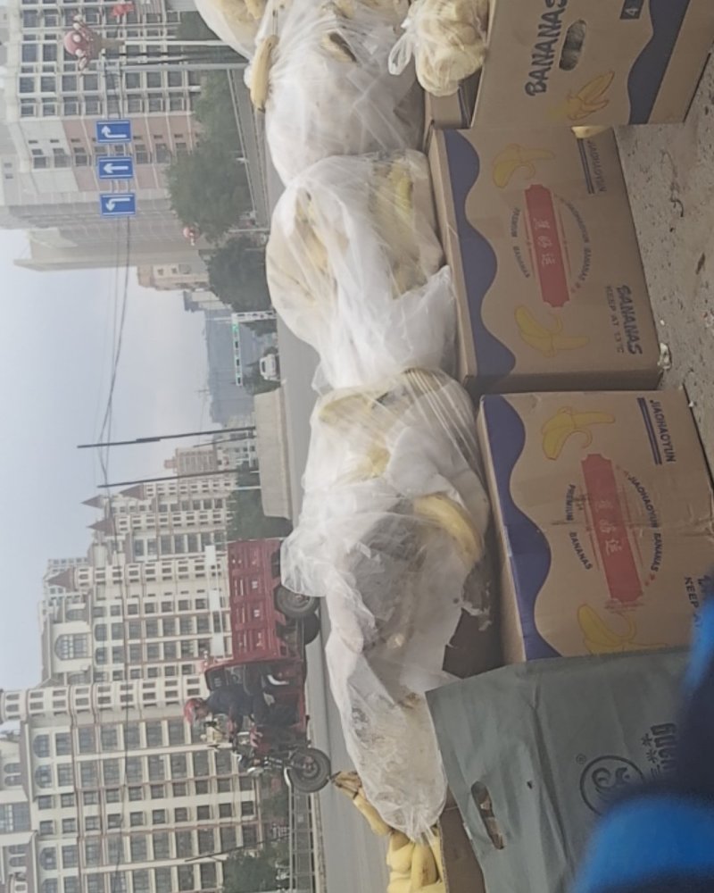 陇西土豆