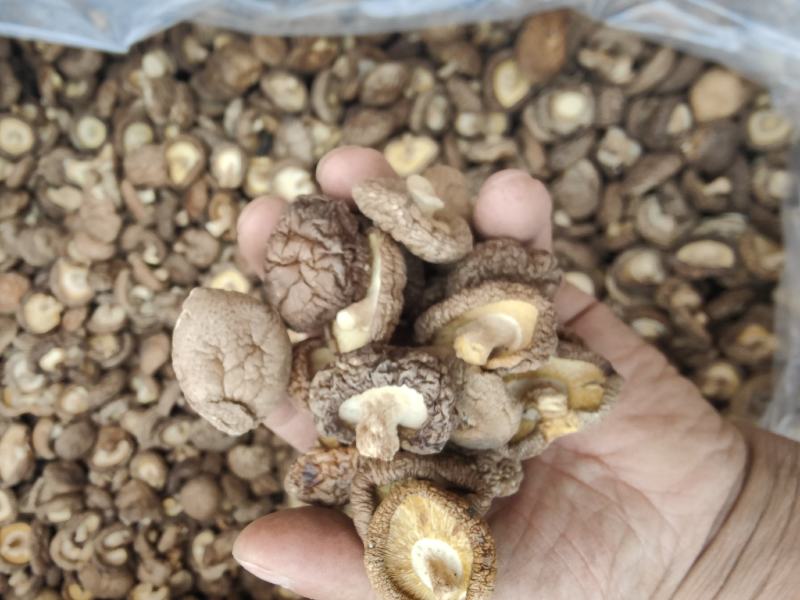 特级香茹