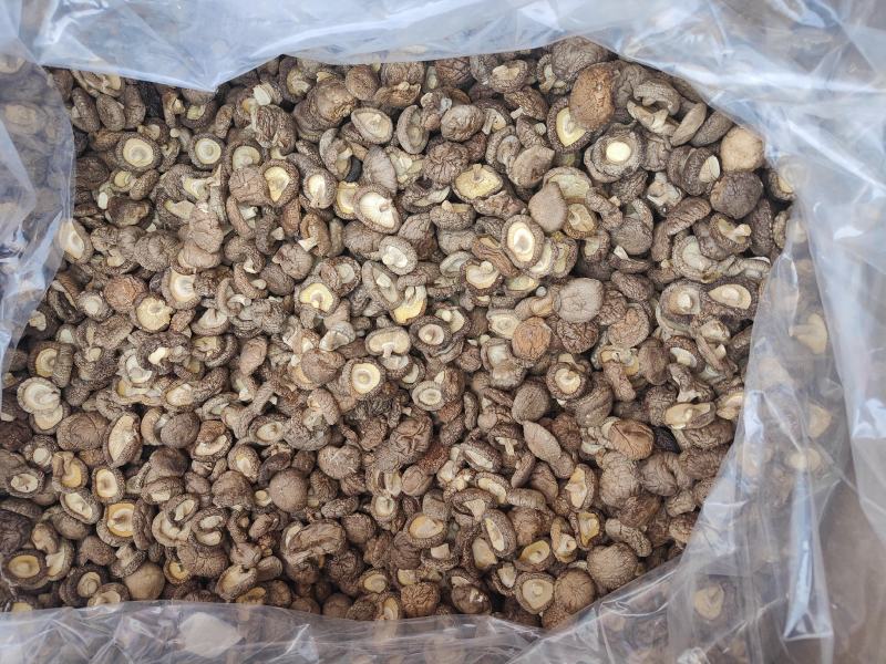 特级香茹