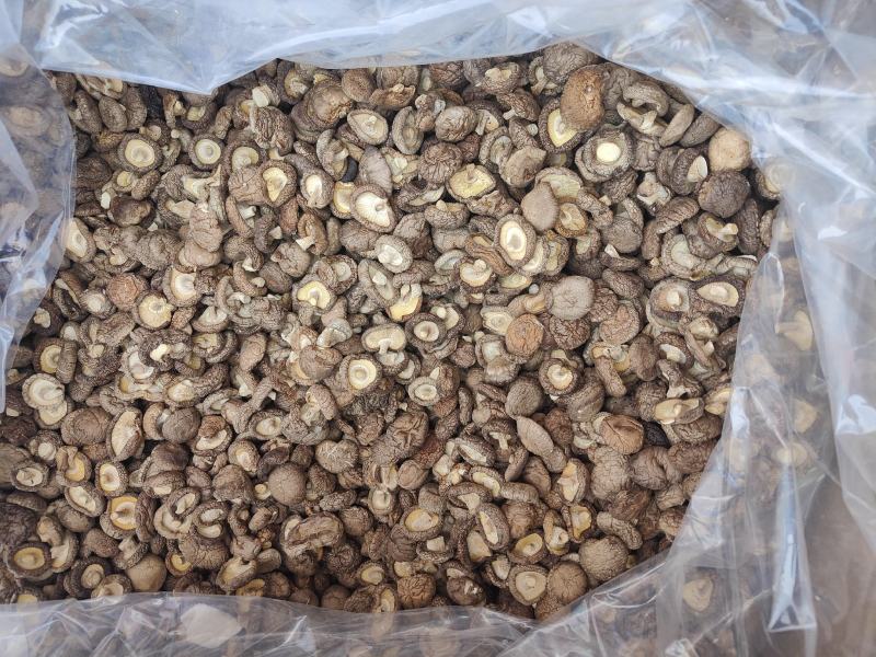 特级香茹