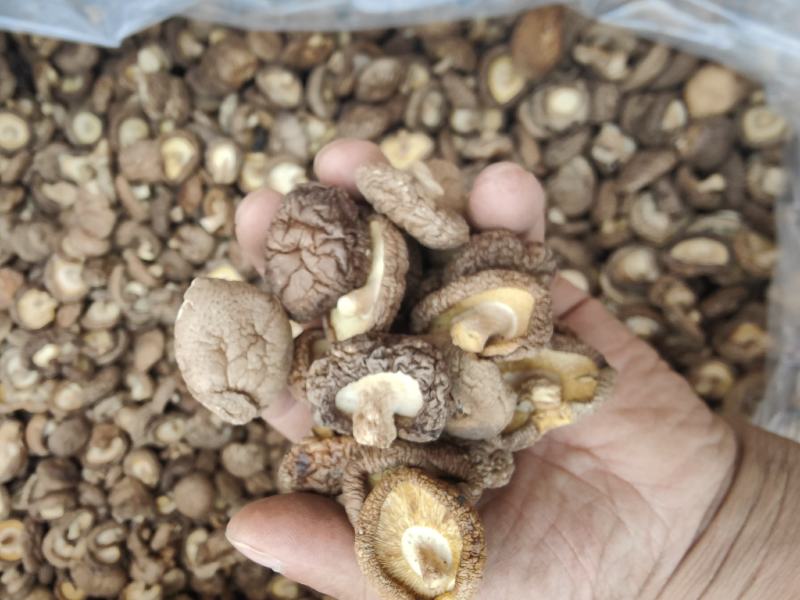 特级香茹