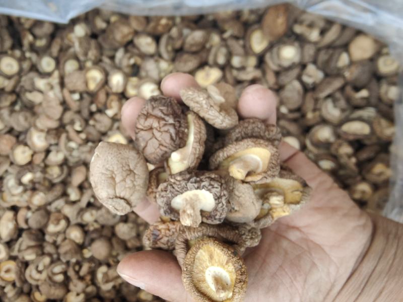 特级香茹