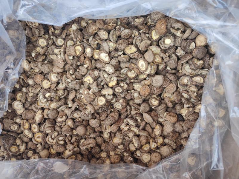 特级香茹