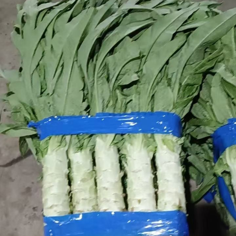 来自黄土高原的精品青莴笋已大量上市了，杆子即直又绿哦！