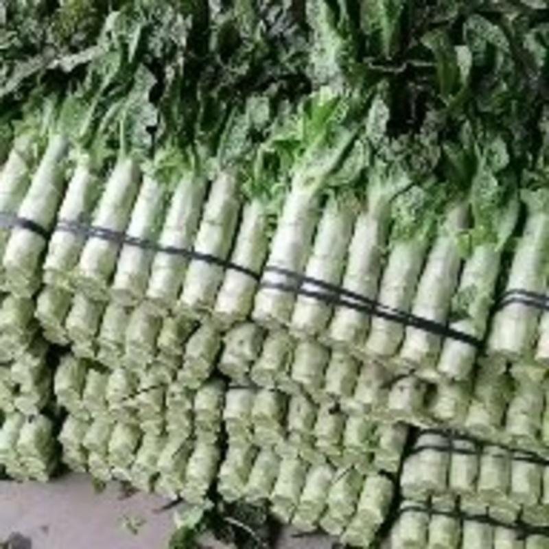 江西乐平叶香莴苣大量上市直供批发市场，电商多多买菜美团