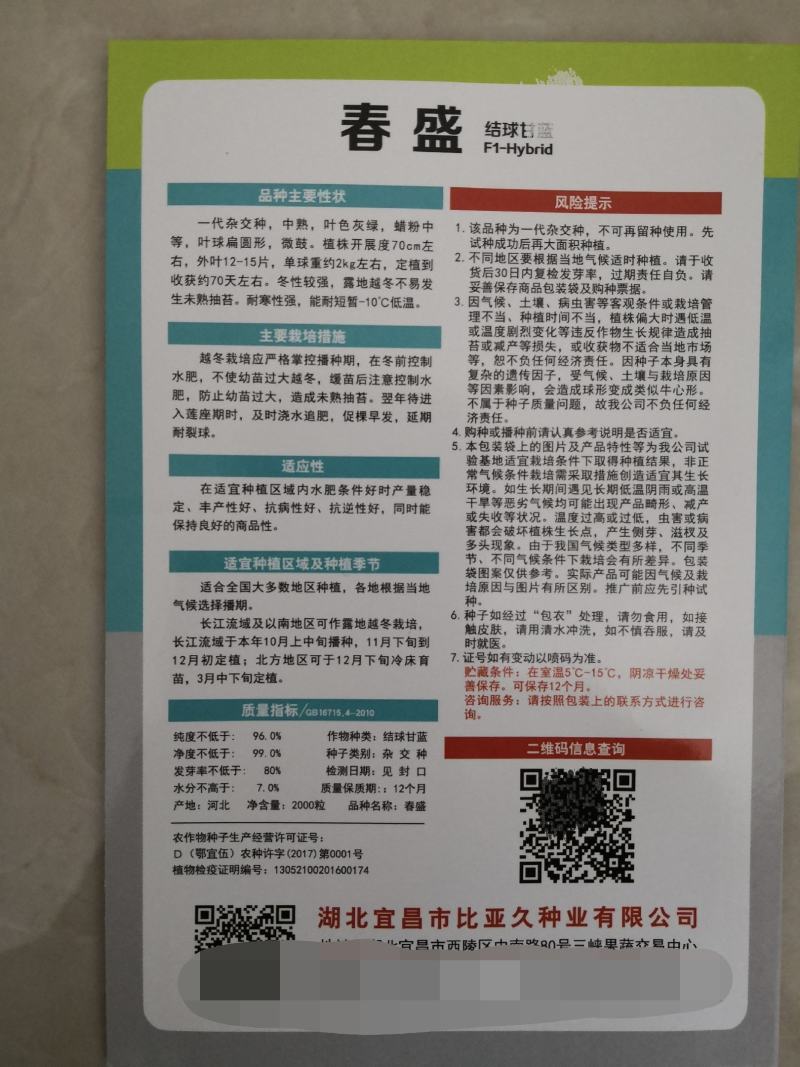 春盛陆地越冬甘蓝种子耐寒性强耐抽苔能耐一10度低温单菜2