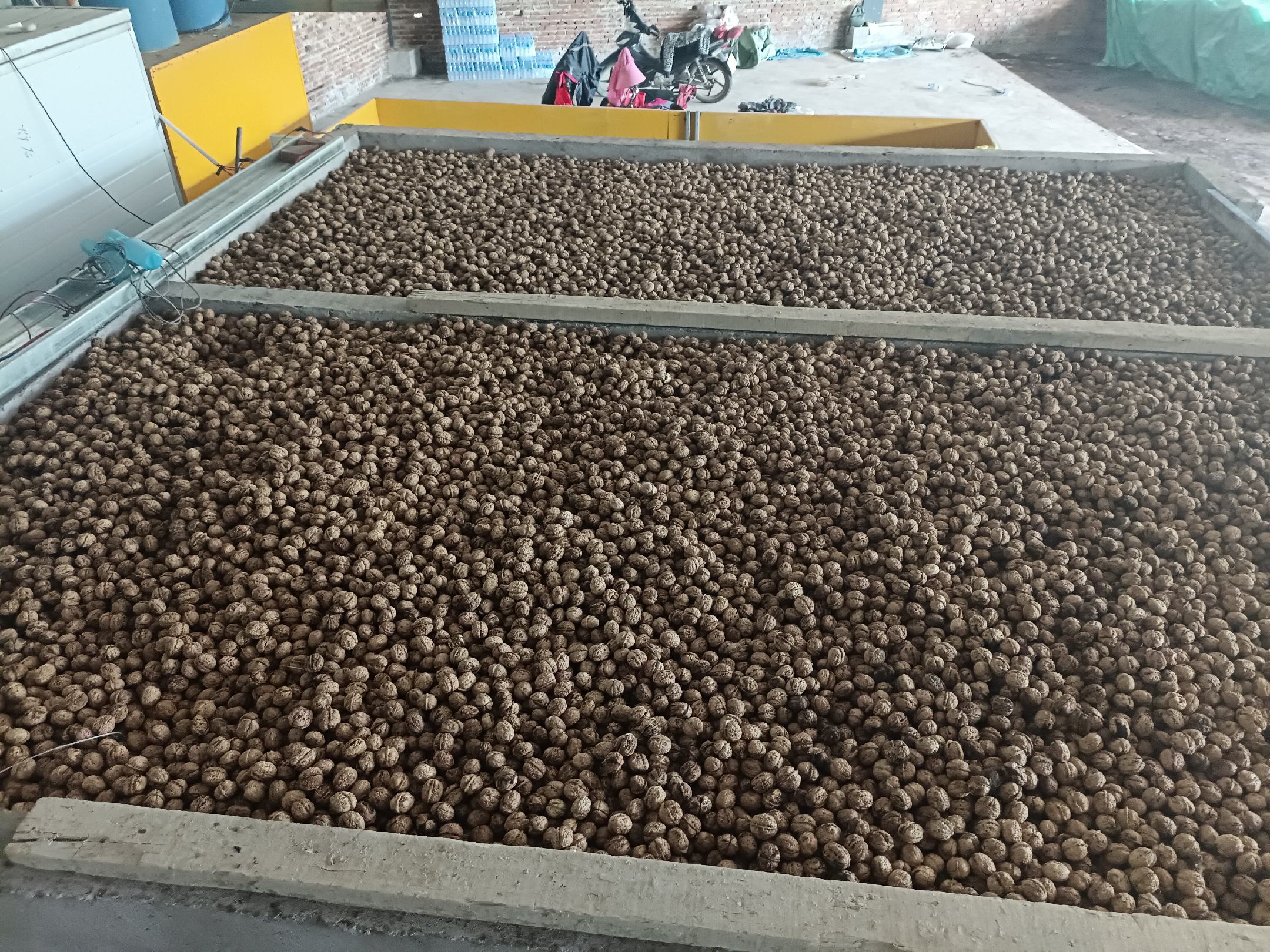 展示核桃储存的正确方法,包括密封罐、冷藏、冷冻等不同方式 核桃储存方式示意图