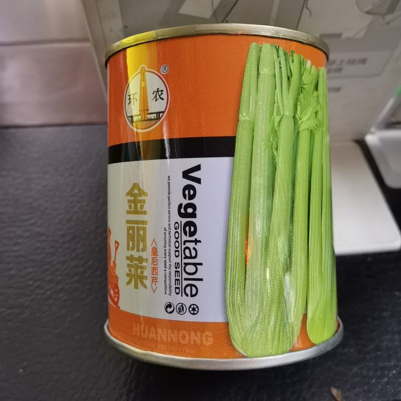 金丽莱皇后西芹种子芹菜种子高产抗病种植户大面积种植