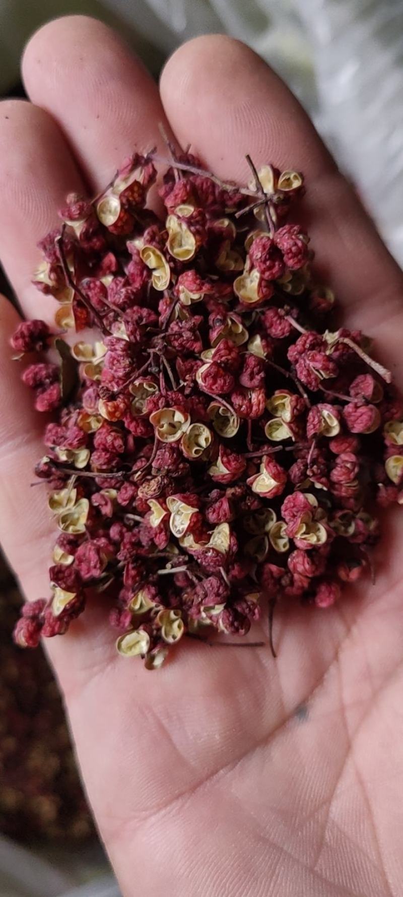 天水大红袍花椒，伏椒，量大质优，全国发货，