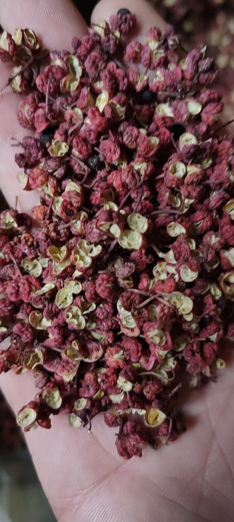 天水大红袍花椒，伏椒，量大质优，全国发货，