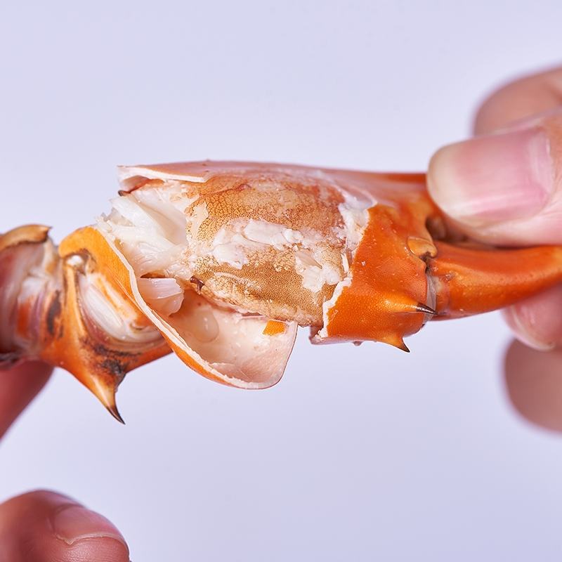 鲜活青蟹