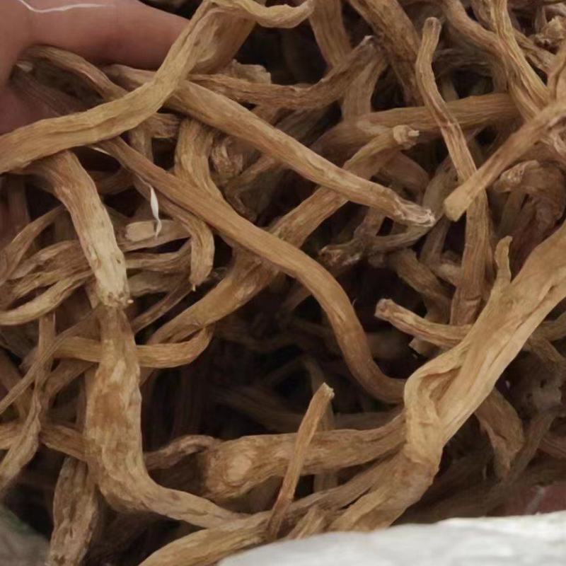 百部：统条，饮片货