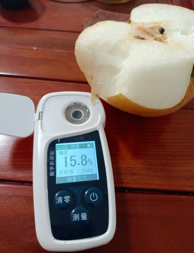 【招财猫伴手礼礼盒】烟台莱阳秋月梨脆甜多汁核心原产地直发