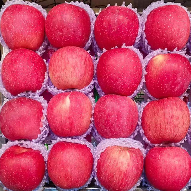 甘肃天水高山红富士苹果，鲜、甜、脆、可口，一件代发
