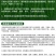 早熟长线椒种子软皮顺直杂交一代香辣味浓辣椒种子黄线椒