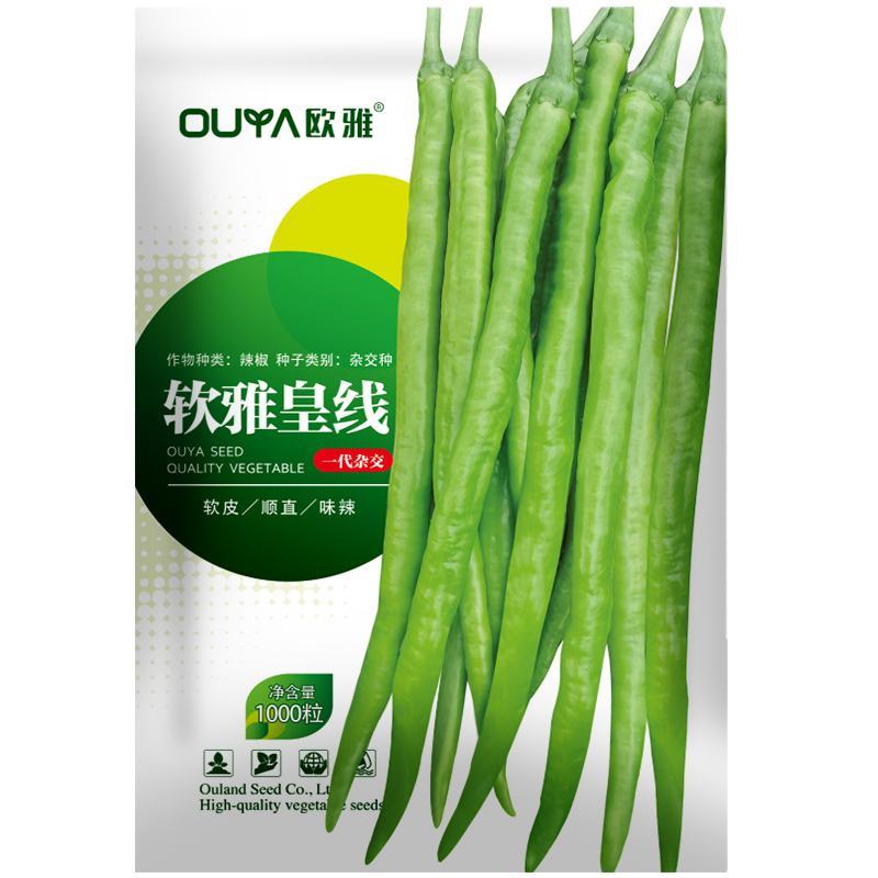 早熟长线椒种子软皮顺直杂交一代香辣味浓辣椒种子黄线椒