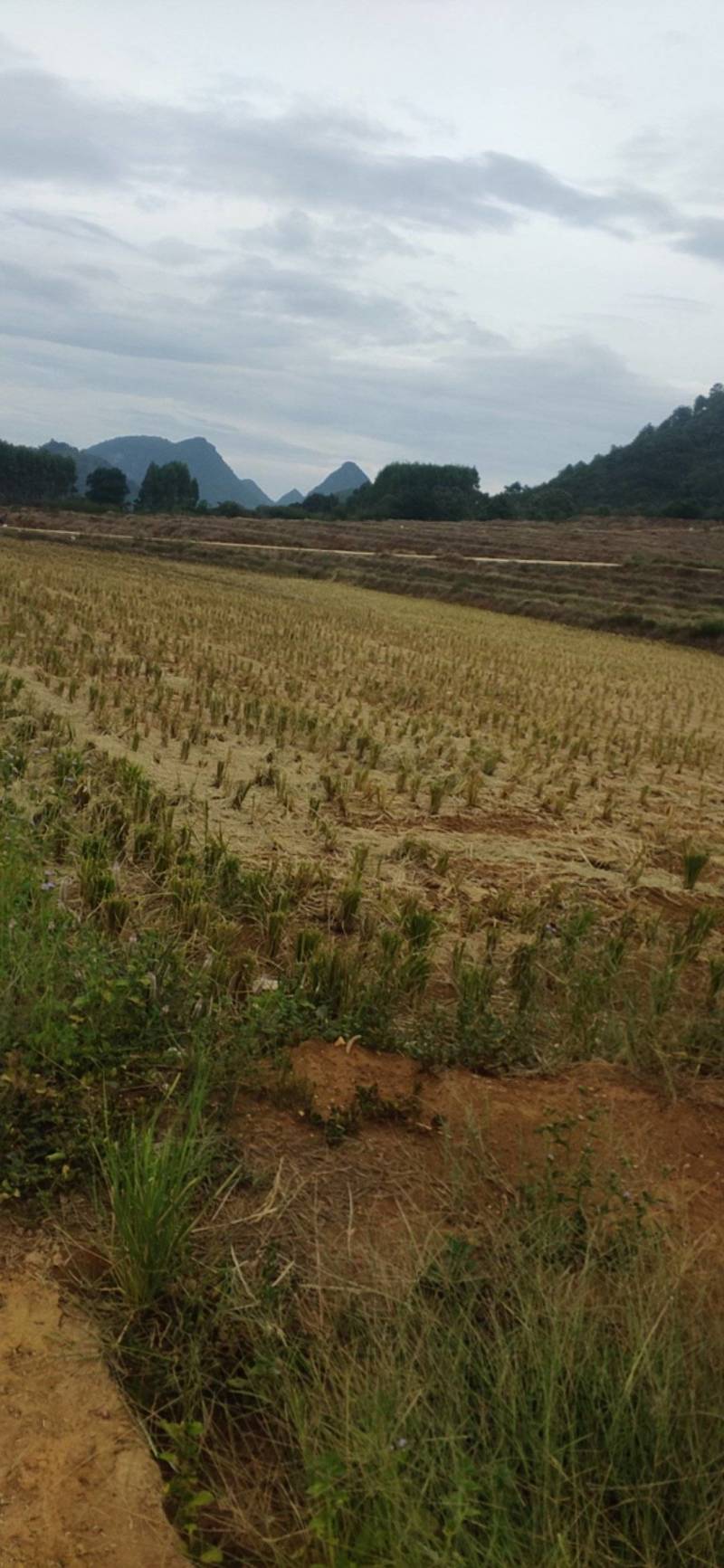 出租土地