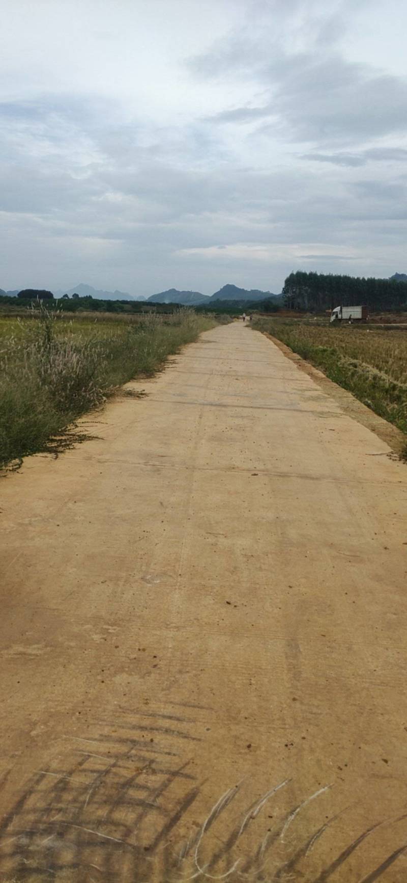 出租土地