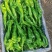 大棚精品螺丝椒