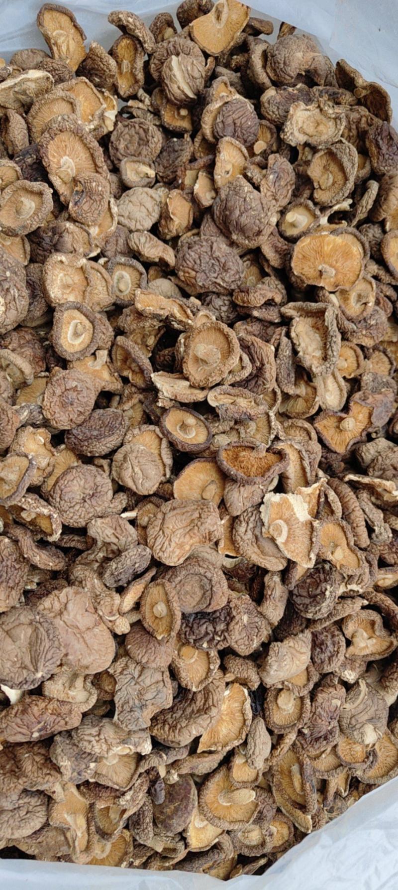 香茹