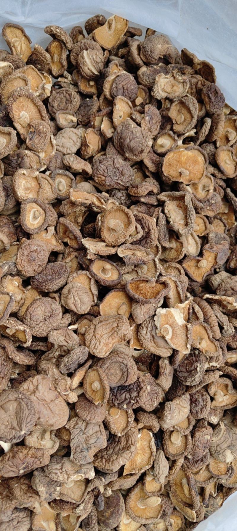 香茹