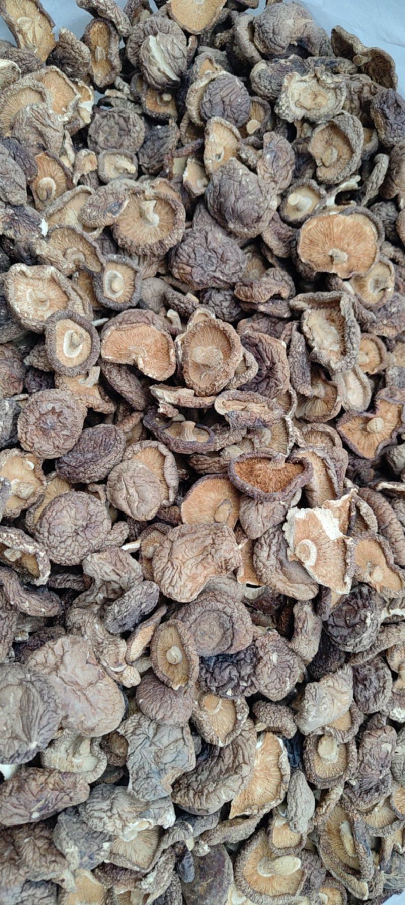 香茹