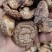 香茹