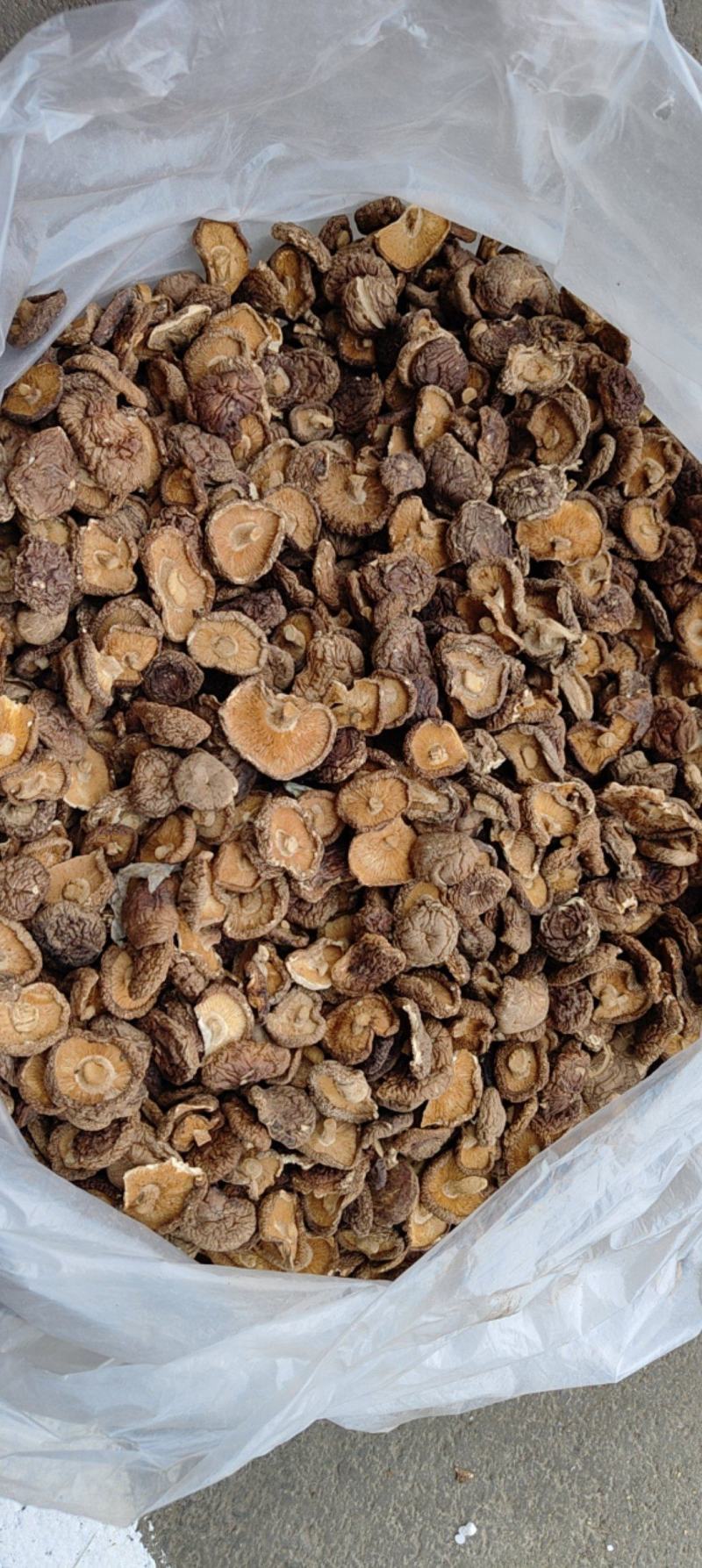 香茹