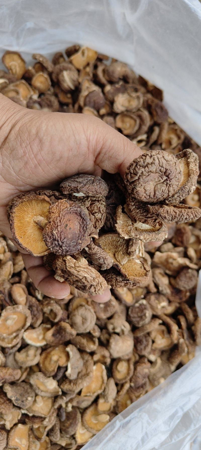 香茹