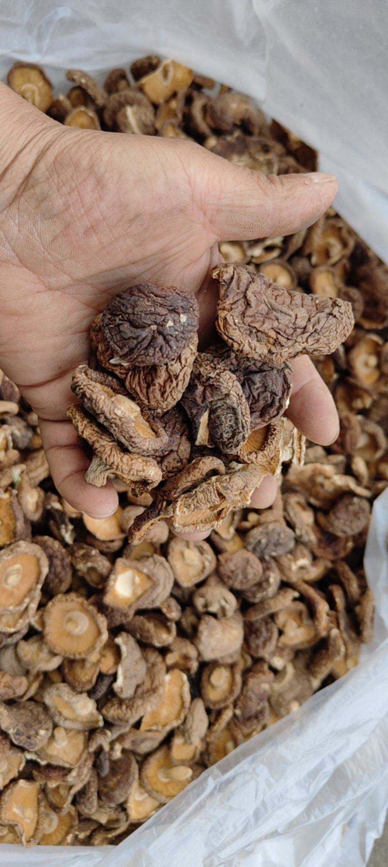 香茹